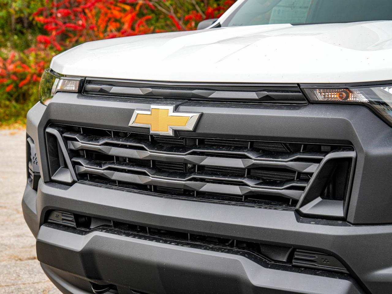 2026 Chevrolet Colorado 4WD Work Truck Photo