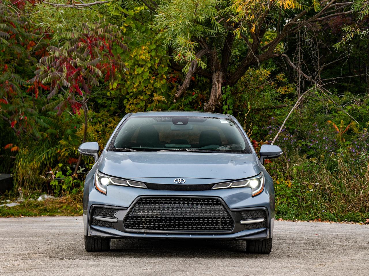 2020 Toyota Corolla XSE Photo4