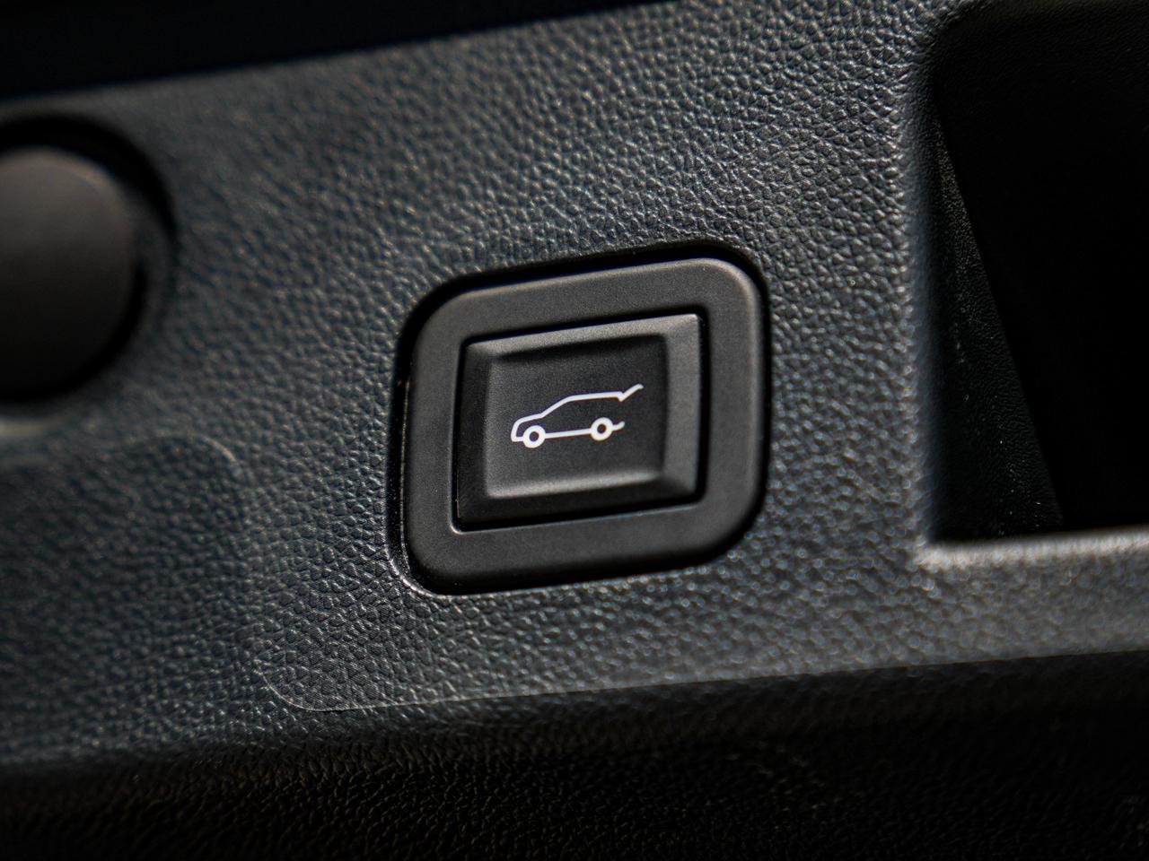 2026 GMC Terrain AWD Elevation Photo