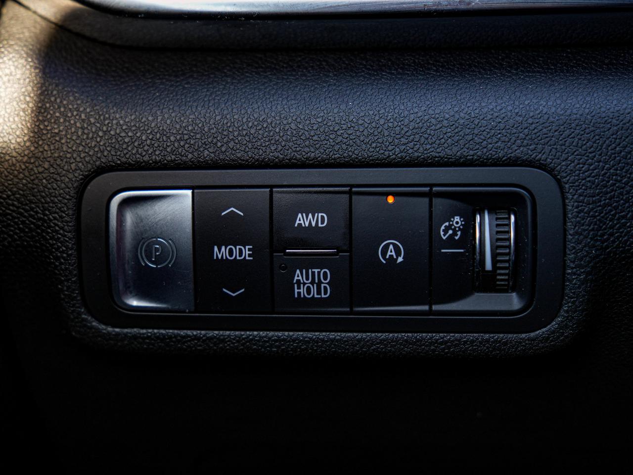 2026 GMC Terrain AWD Elevation Photo