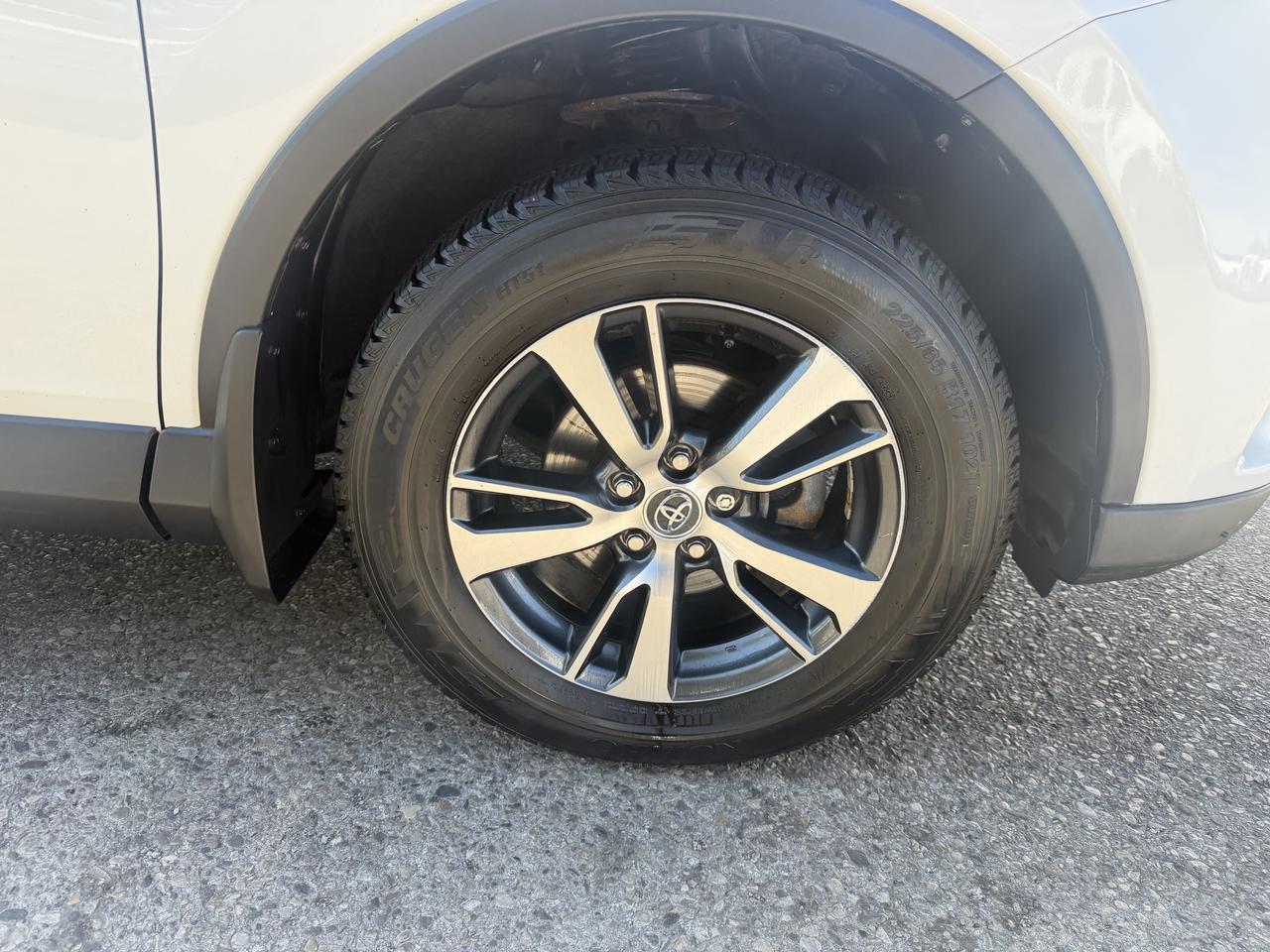 Image 8