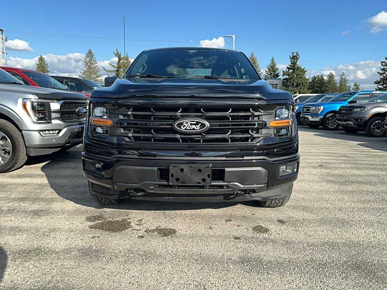2026 Ford F-150 XLT SuperCrew 301A 4x4 Photo1