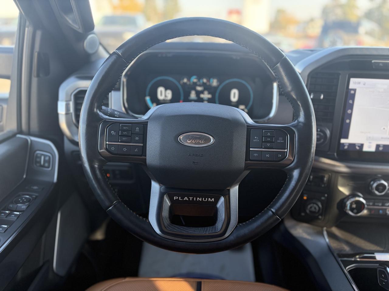 2021 Ford F-150 Platinum 4WD SuperCrew 5.5' Box Photo