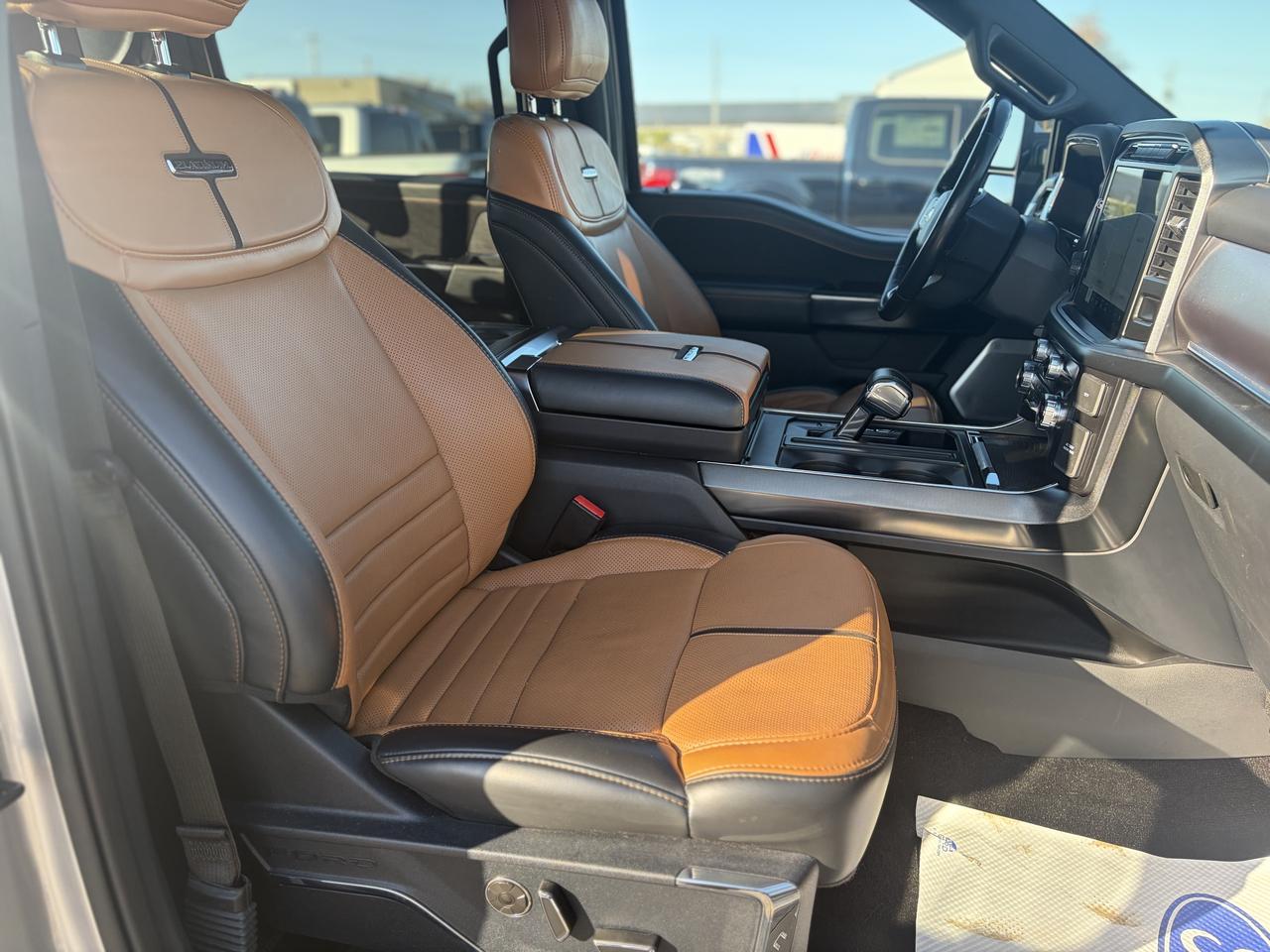 2021 Ford F-150 Platinum 4WD SuperCrew 5.5' Box Photo