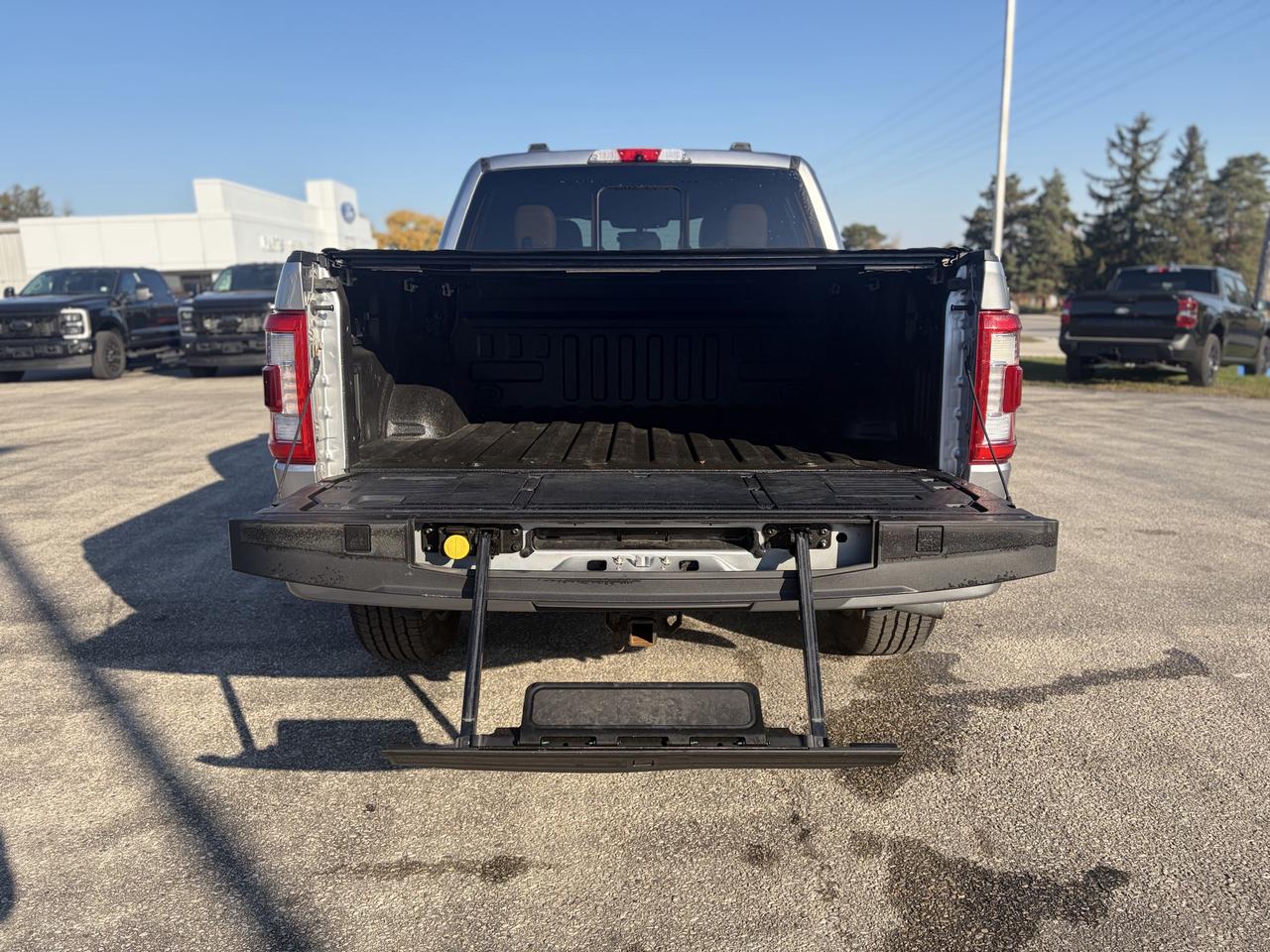 2021 Ford F-150 Platinum 4WD SuperCrew 5.5' Box Photo