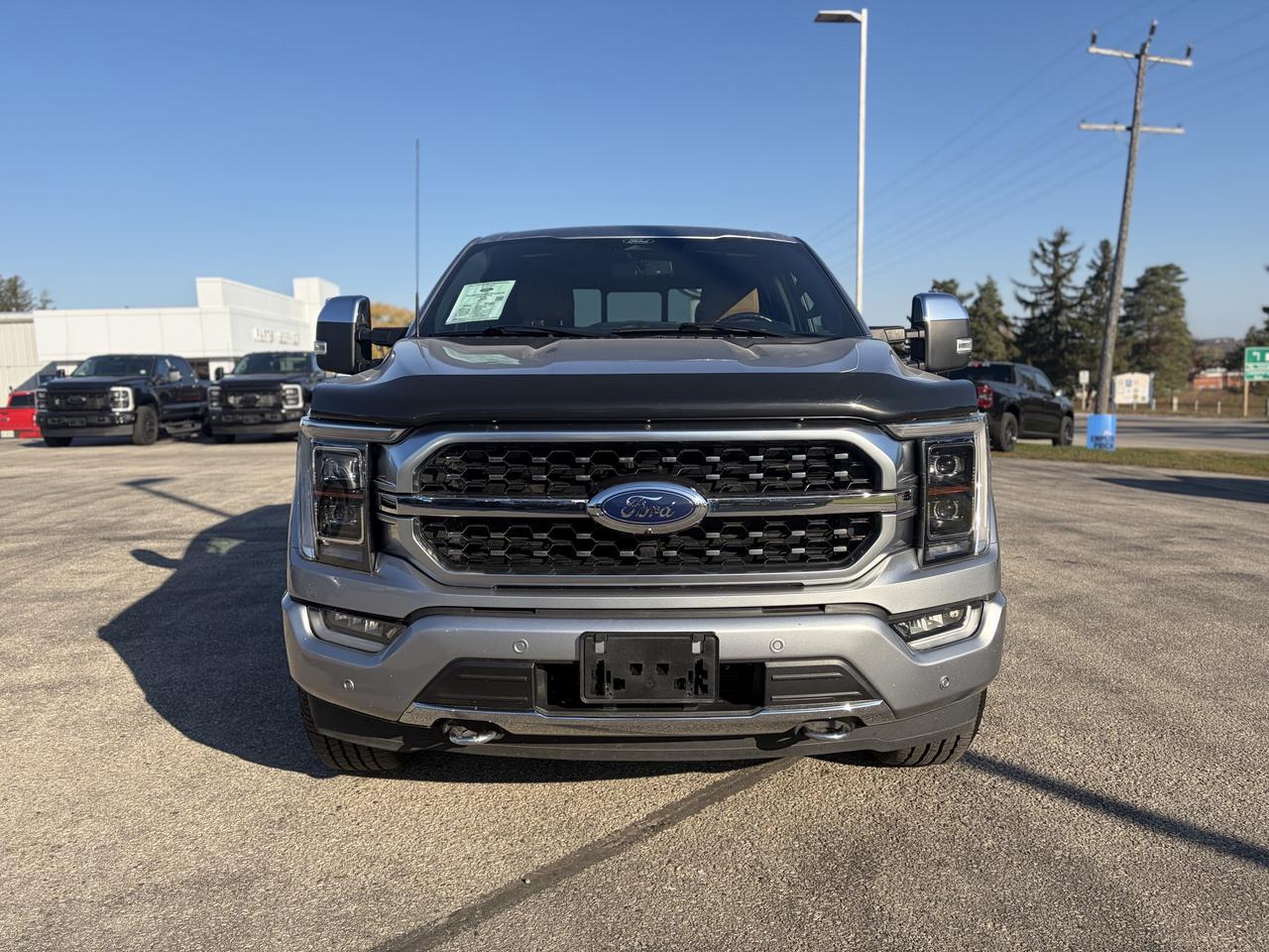 2021 Ford F-150 Platinum 4WD SuperCrew 5.5' Box Photo1