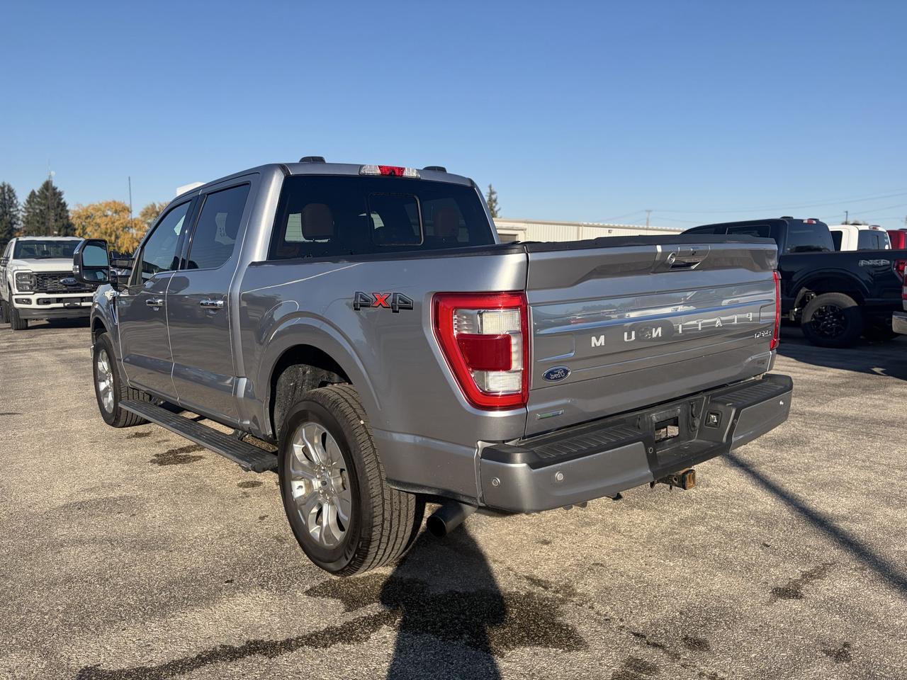 2021 Ford F-150 Platinum 4WD SuperCrew 5.5' Box Photo3