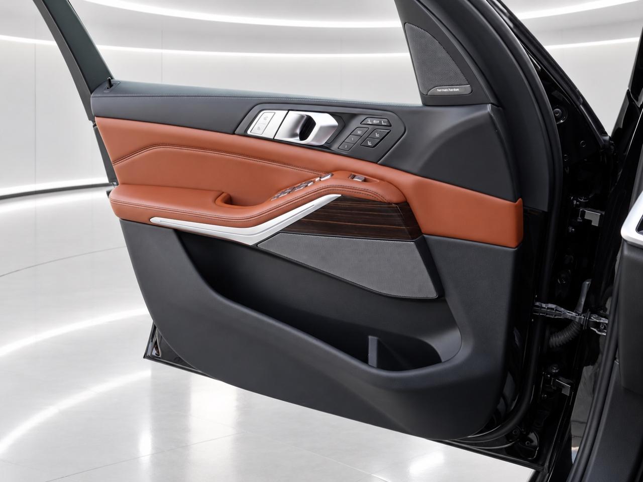 2019 BMW X7  Photo