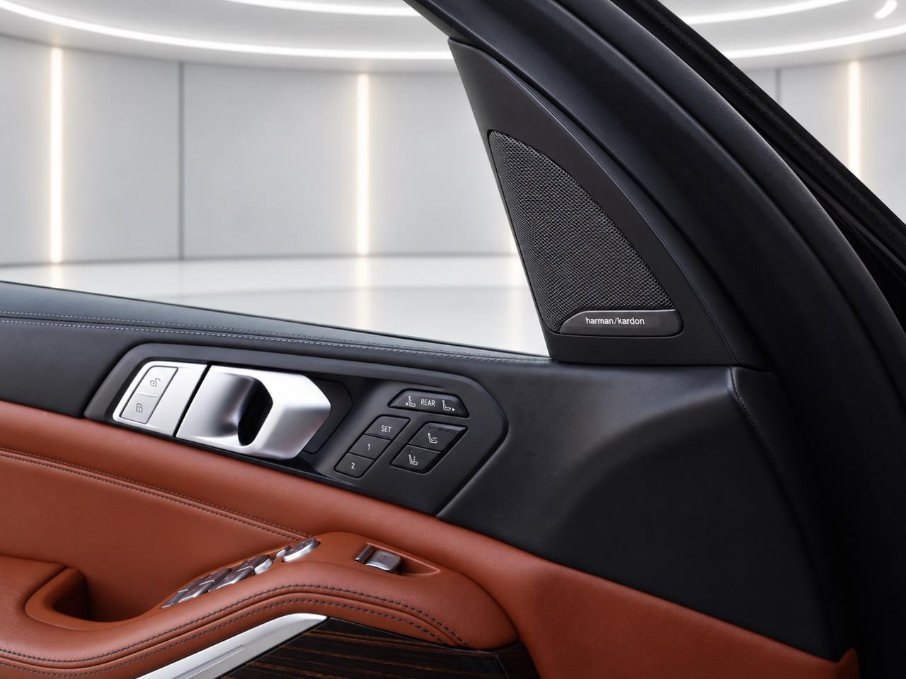2019 BMW X7  Photo