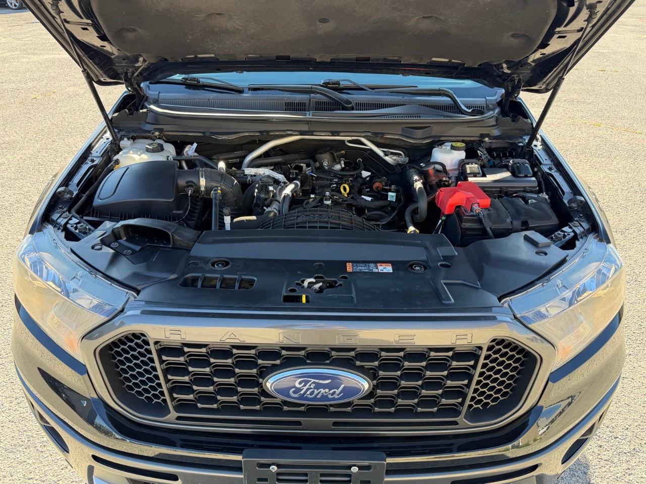 2020 Ford Ranger  Photo
