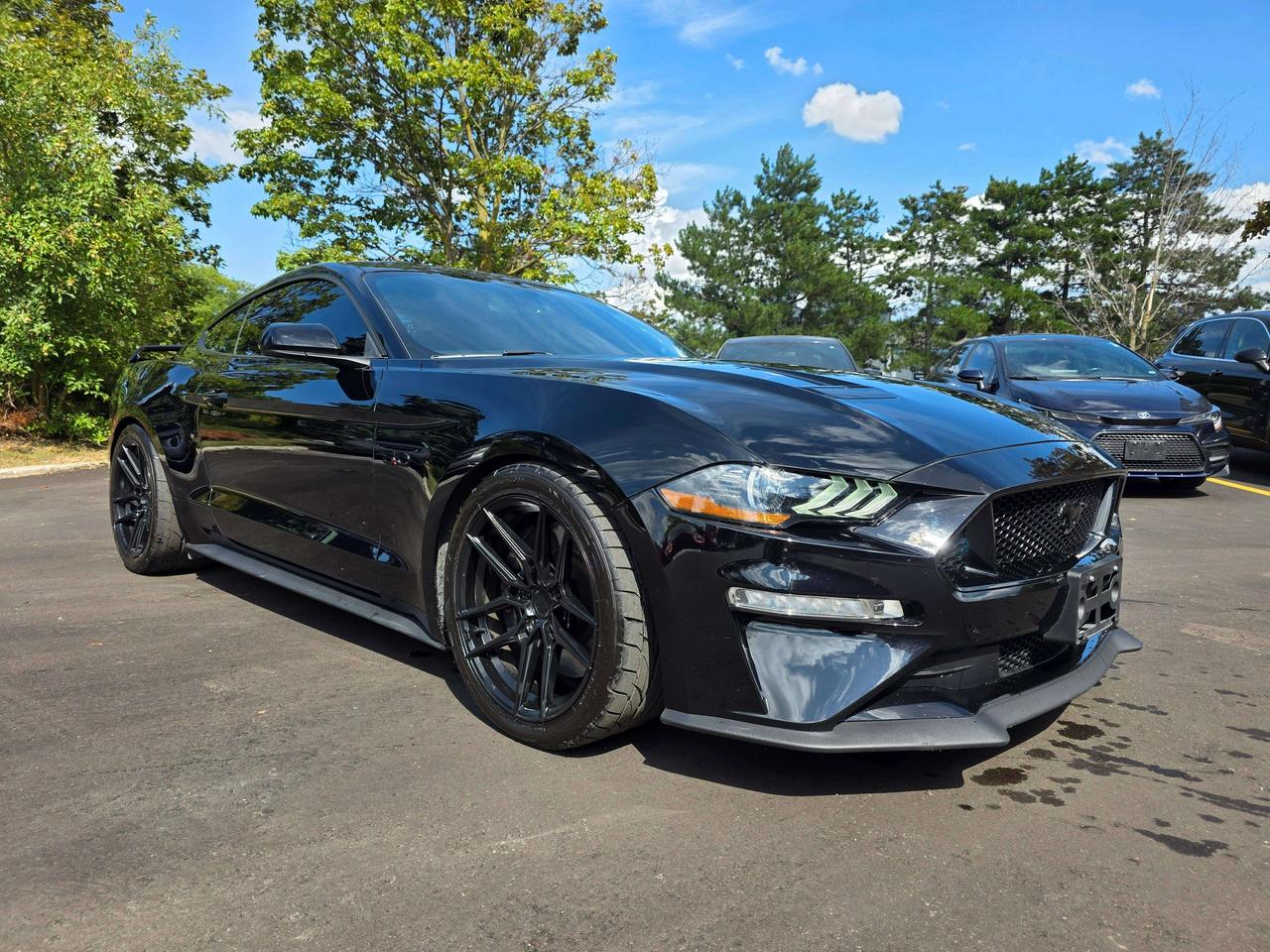 2019 Ford Mustang Performance Package / Manual / No Accidents Photo