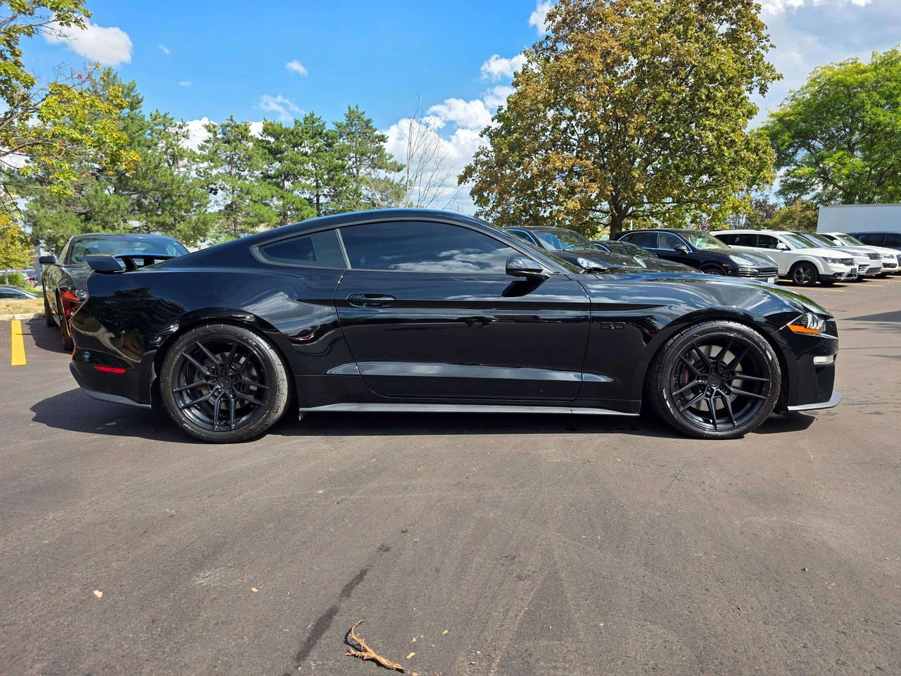 2019 Ford Mustang Performance Package / Manual / No Accidents Photo