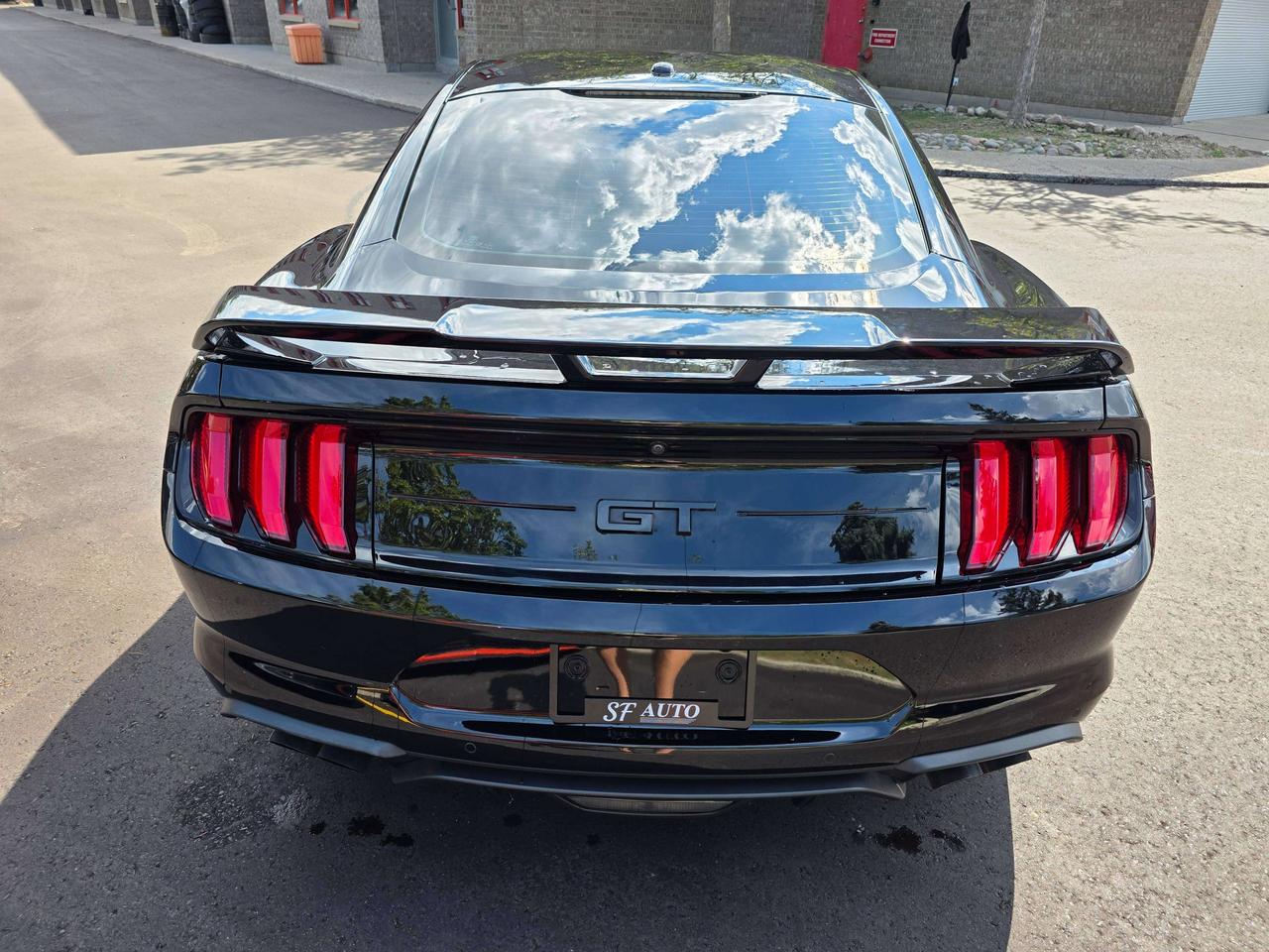 2019 Ford Mustang Performance Package / Manual / No Accidents Photo