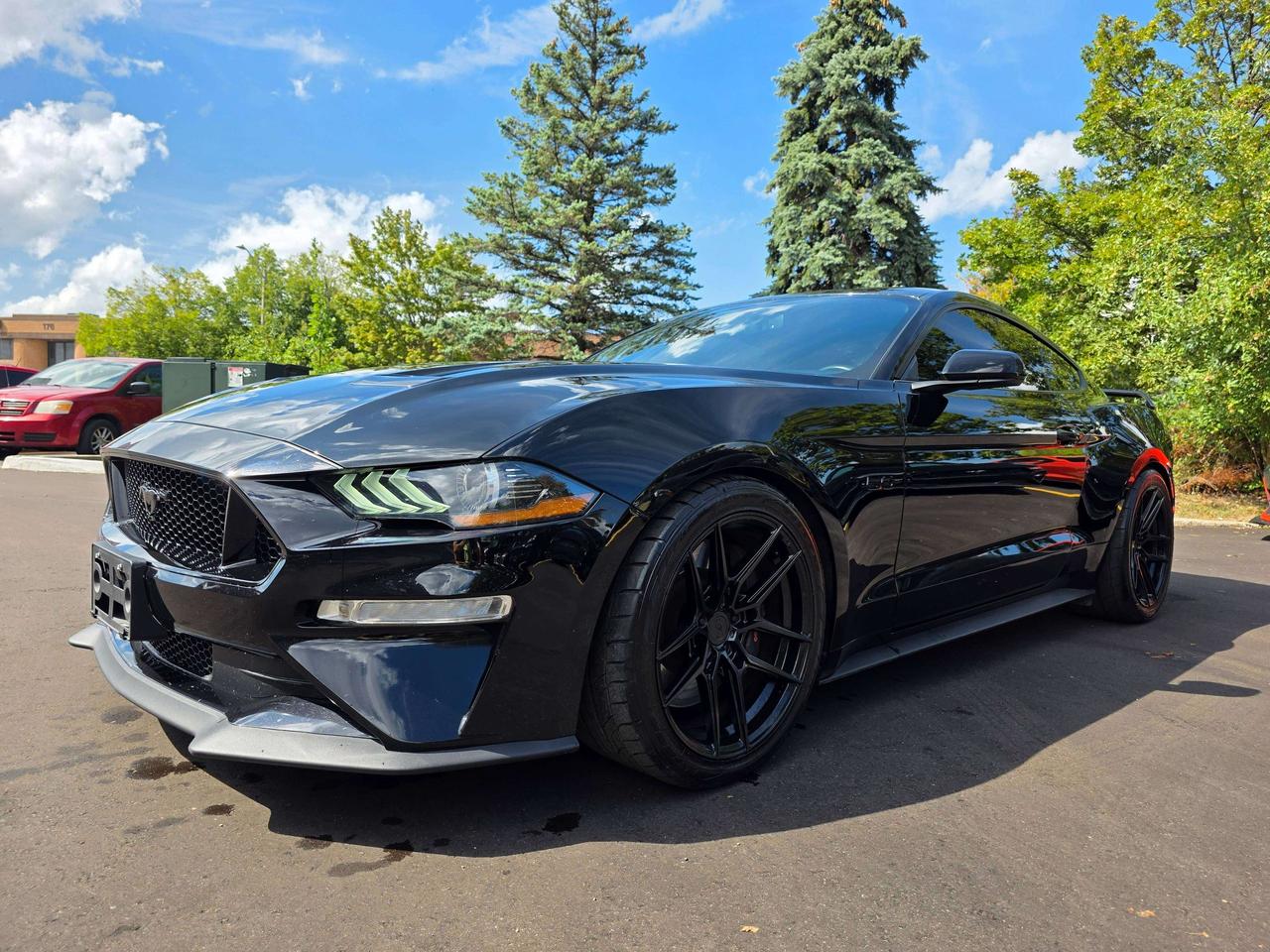 2019 Ford Mustang Performance Package / Manual / No Accidents Photo