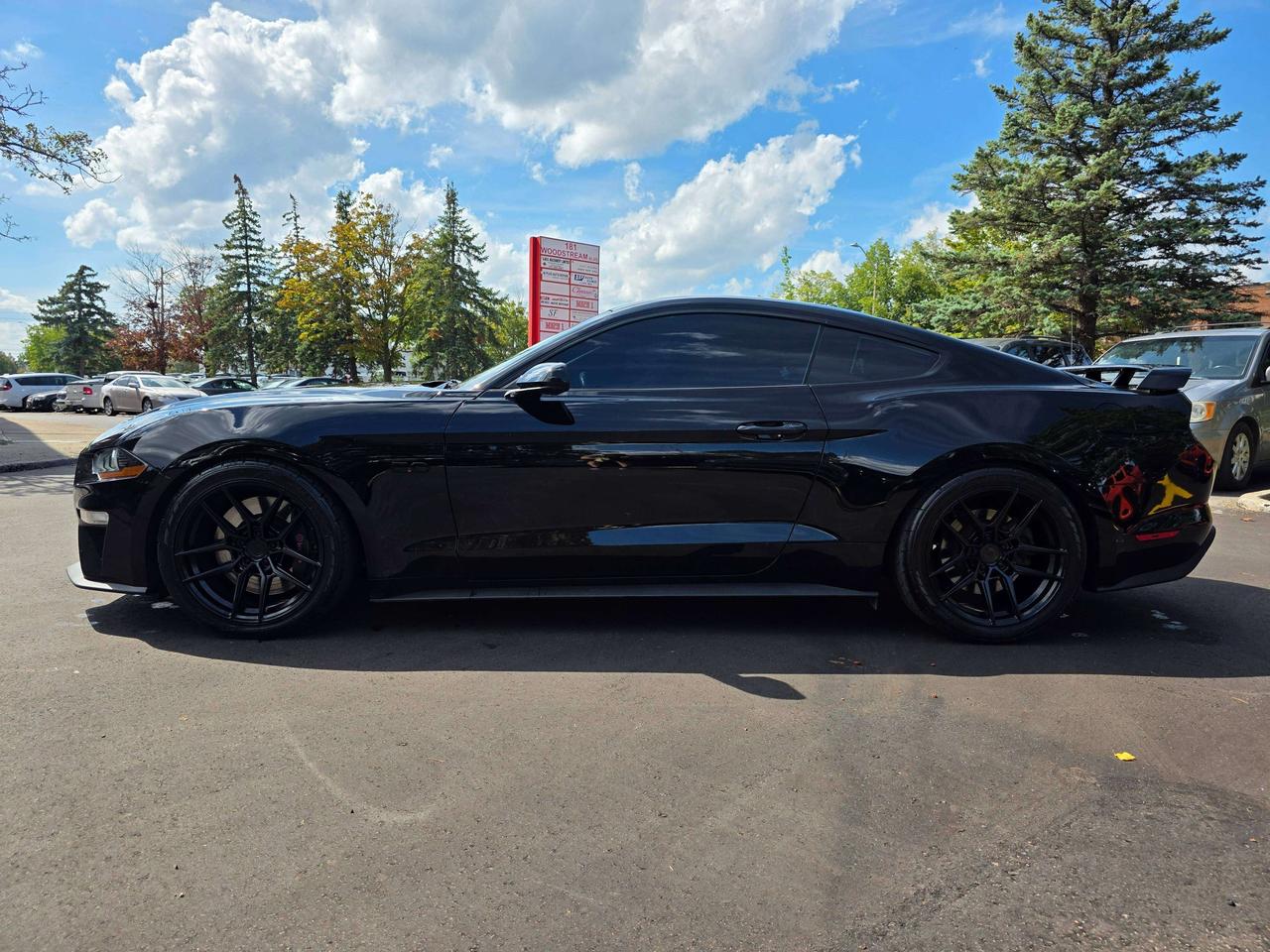 2019 Ford Mustang Performance Package / Manual / No Accidents Photo