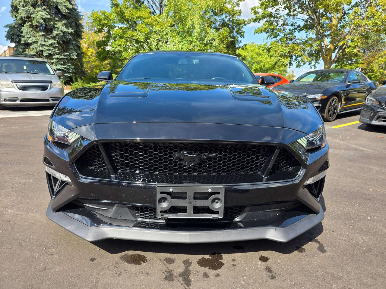 2019 Ford Mustang Performance Package / Manual / No Accidents Photo