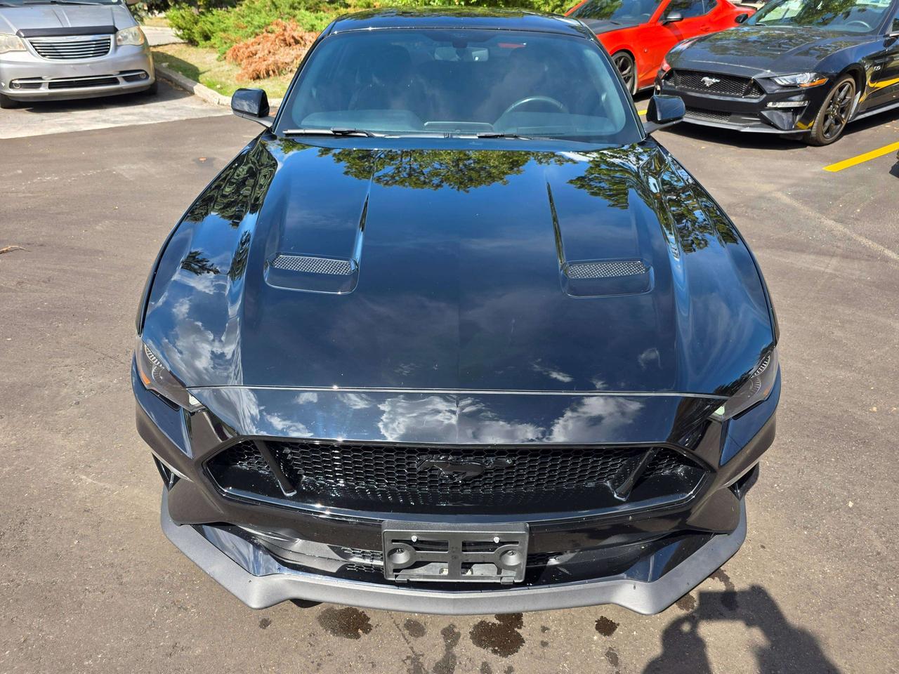 2019 Ford Mustang Performance Package / Manual / No Accidents Photo
