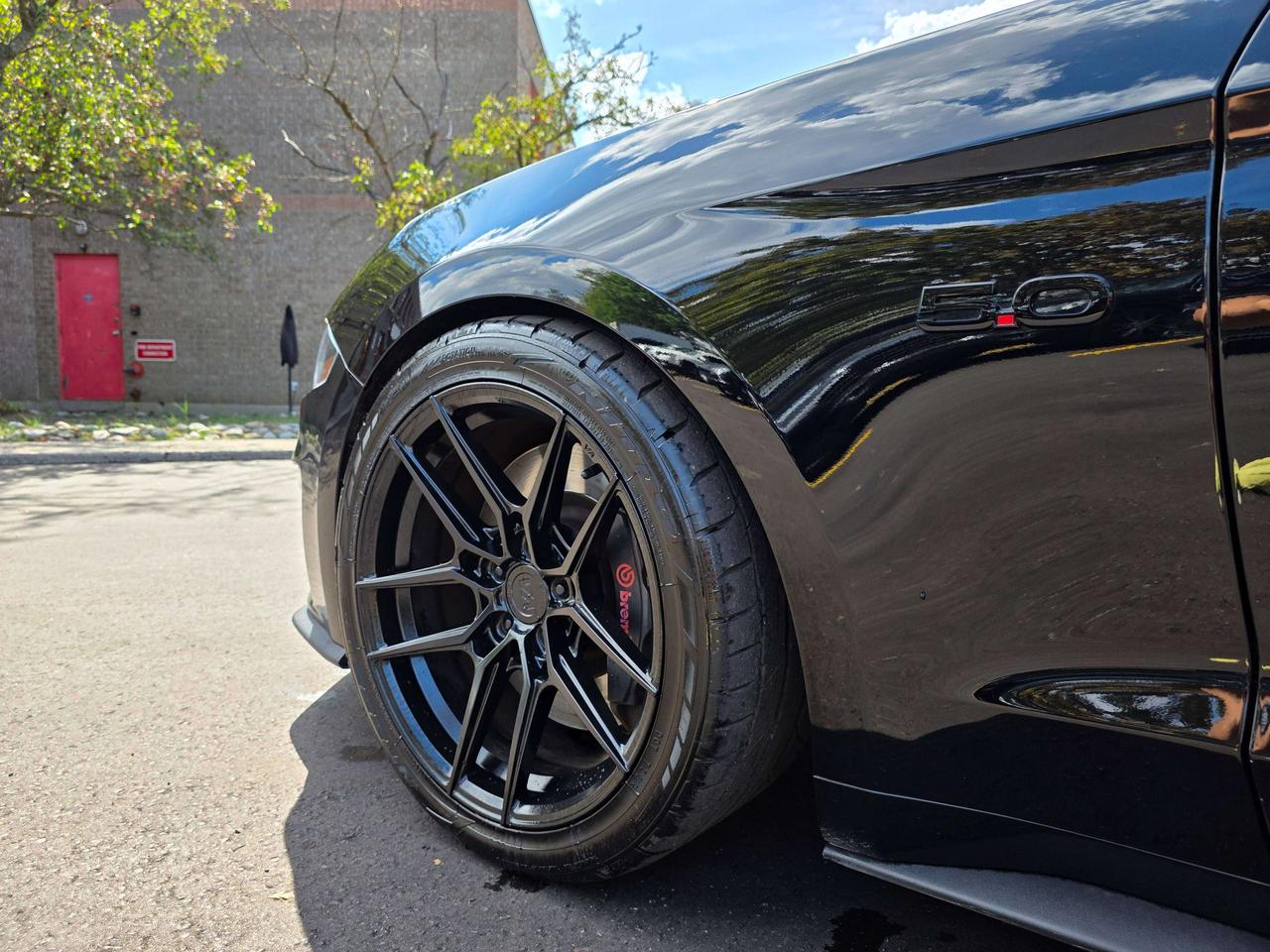 2019 Ford Mustang Performance Package / Manual / No Accidents Photo