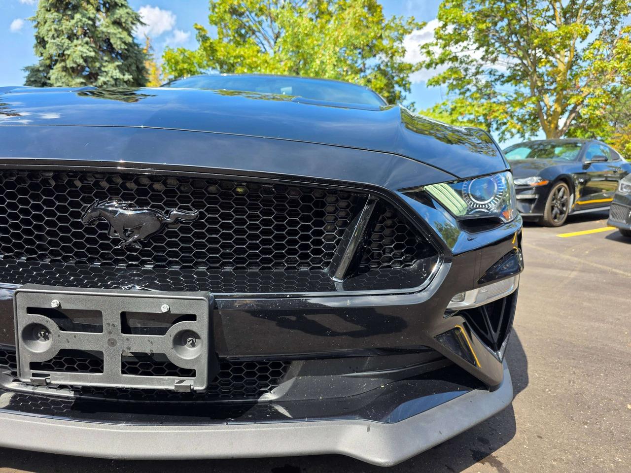 2019 Ford Mustang Performance Package / Manual / No Accidents Photo