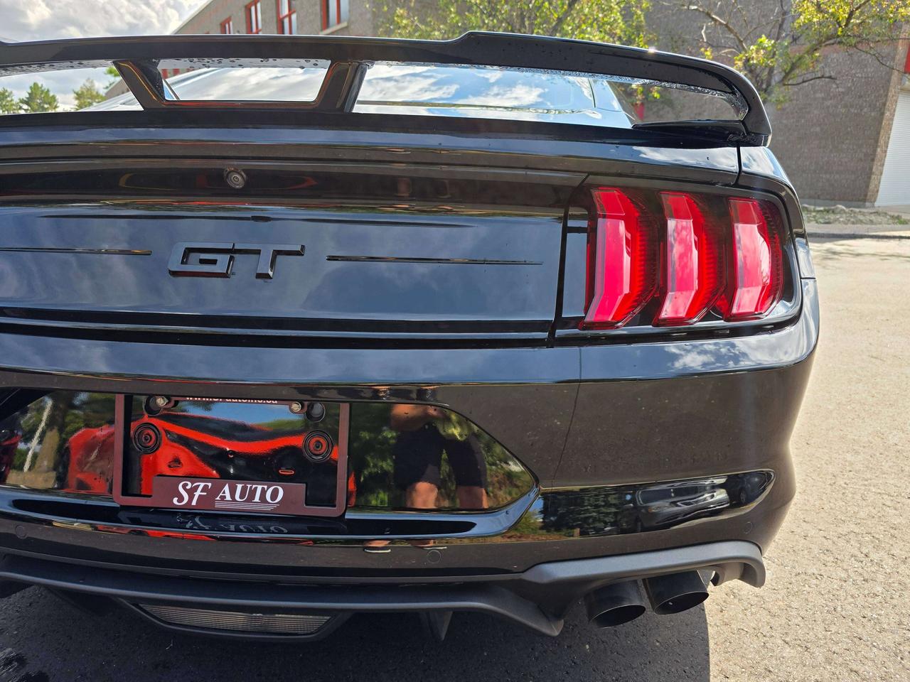 2019 Ford Mustang Performance Package / Manual / No Accidents Photo