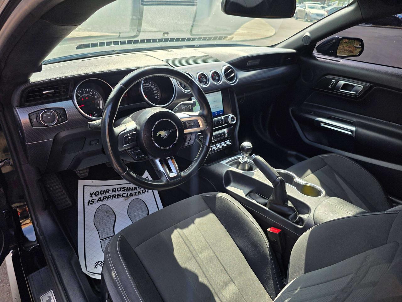 2019 Ford Mustang Performance Package / Manual / No Accidents Photo