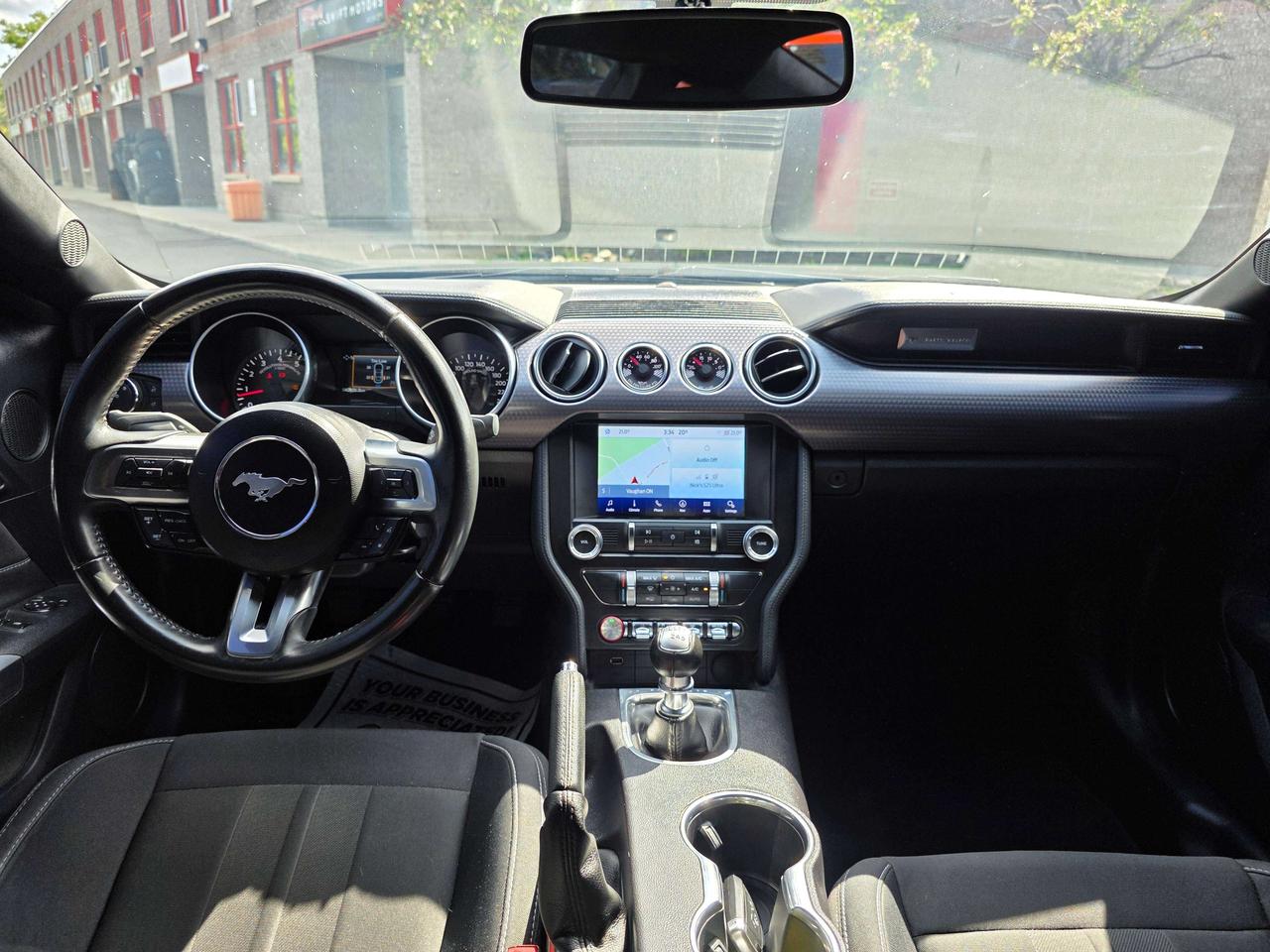 2019 Ford Mustang Performance Package / Manual / No Accidents Photo