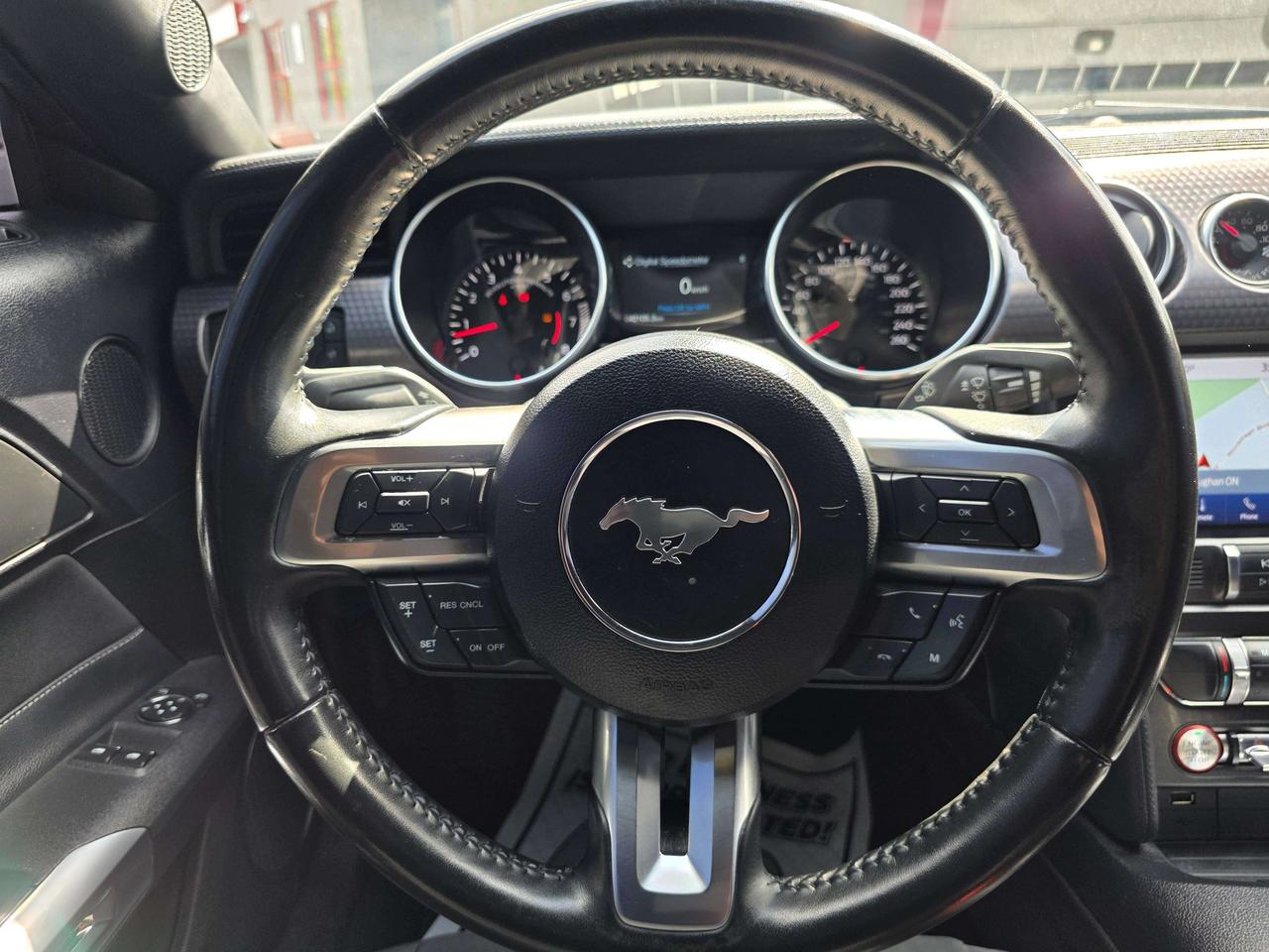 2019 Ford Mustang Performance Package / Manual / No Accidents Photo
