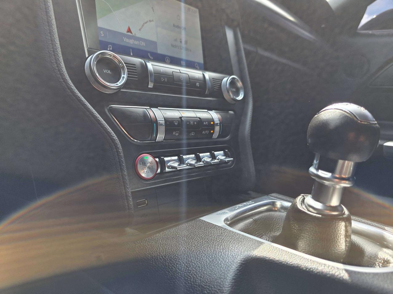 2019 Ford Mustang Performance Package / Manual / No Accidents Photo