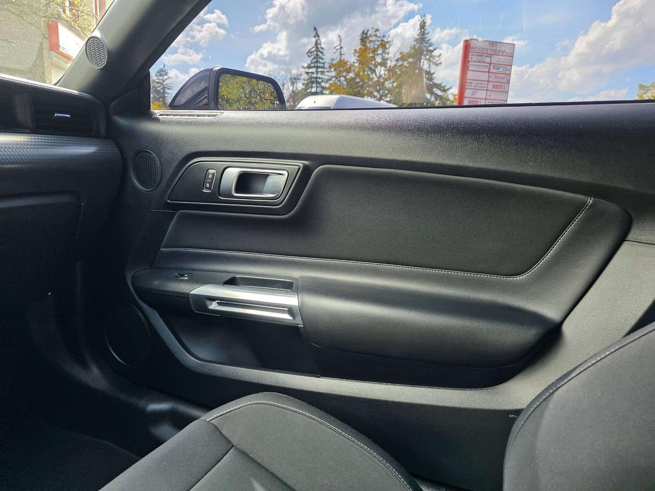 2019 Ford Mustang Performance Package / Manual / No Accidents Photo