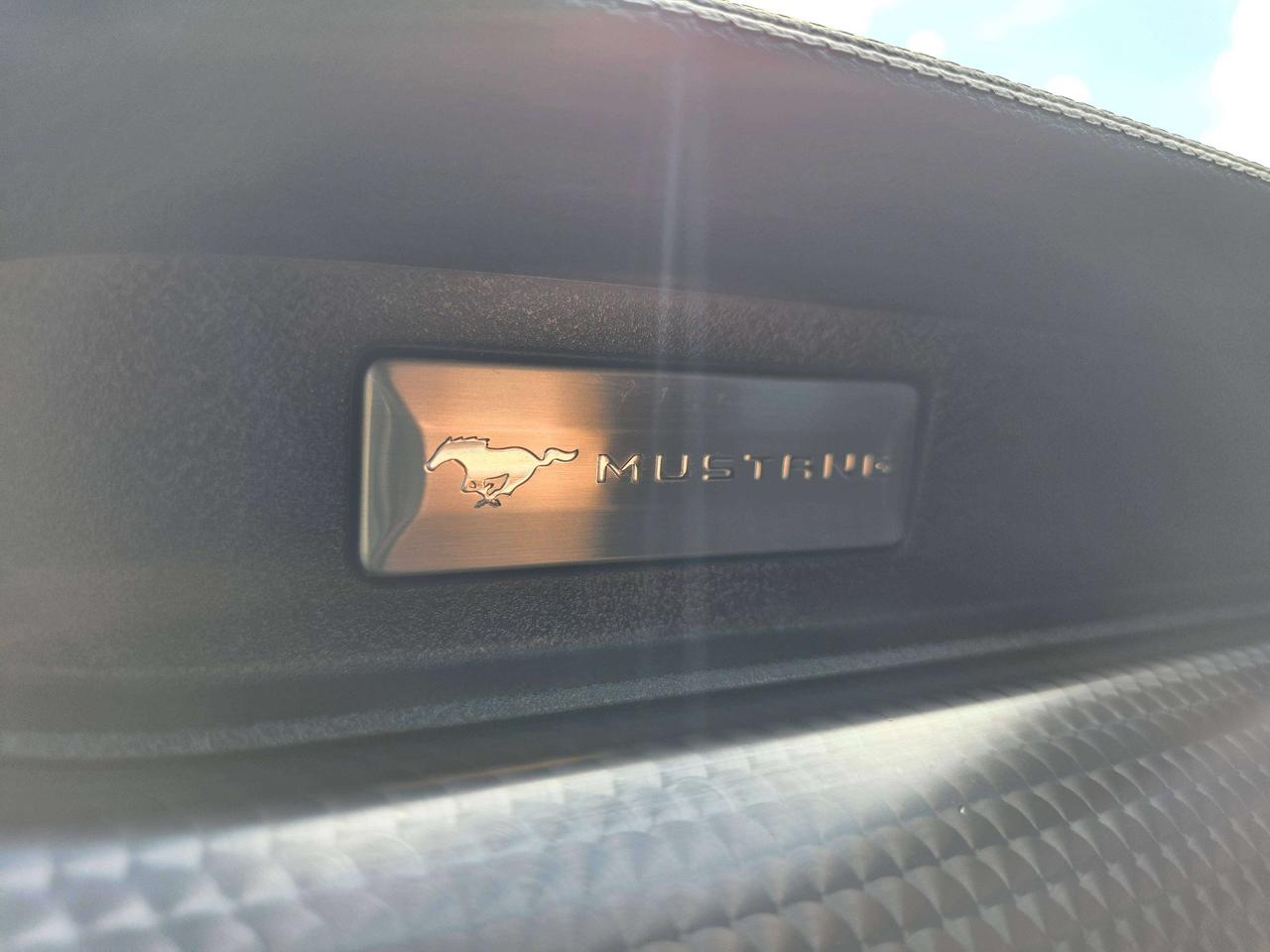 2019 Ford Mustang Performance Package / Manual / No Accidents Photo