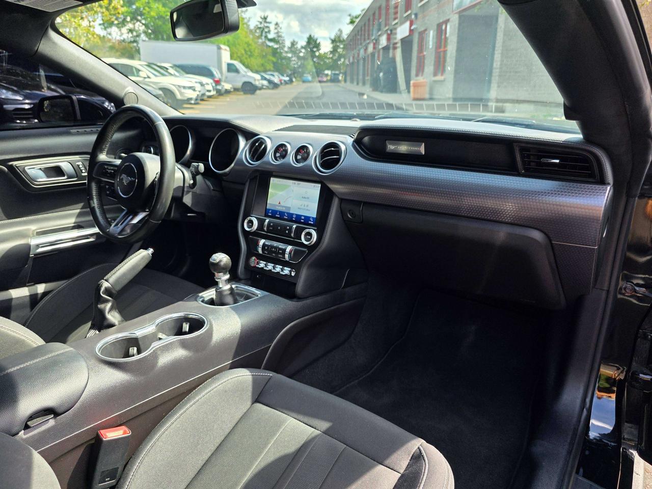 2019 Ford Mustang Performance Package / Manual / No Accidents Photo