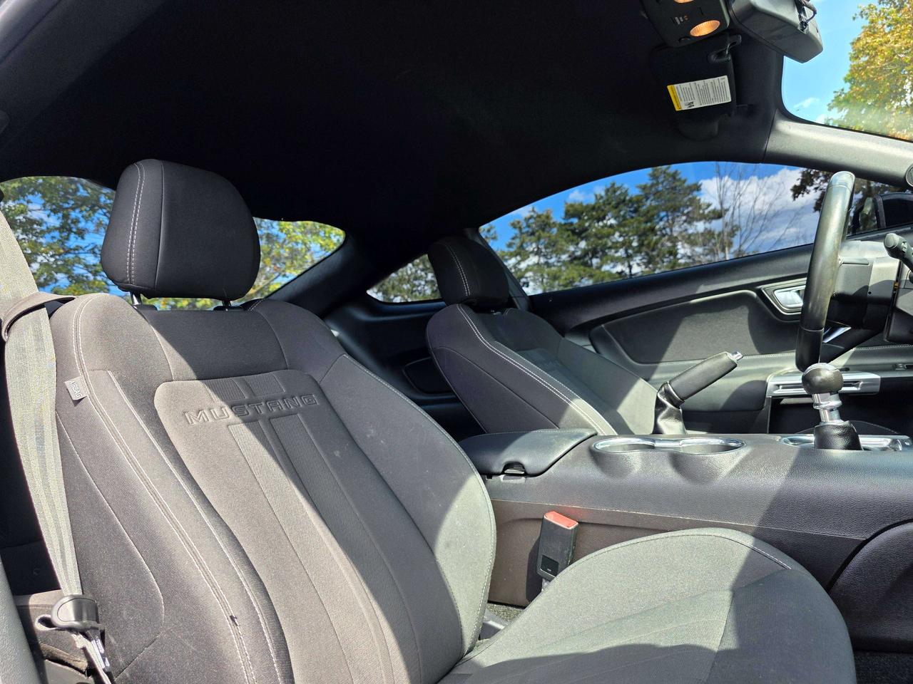 2019 Ford Mustang Performance Package / Manual / No Accidents Photo