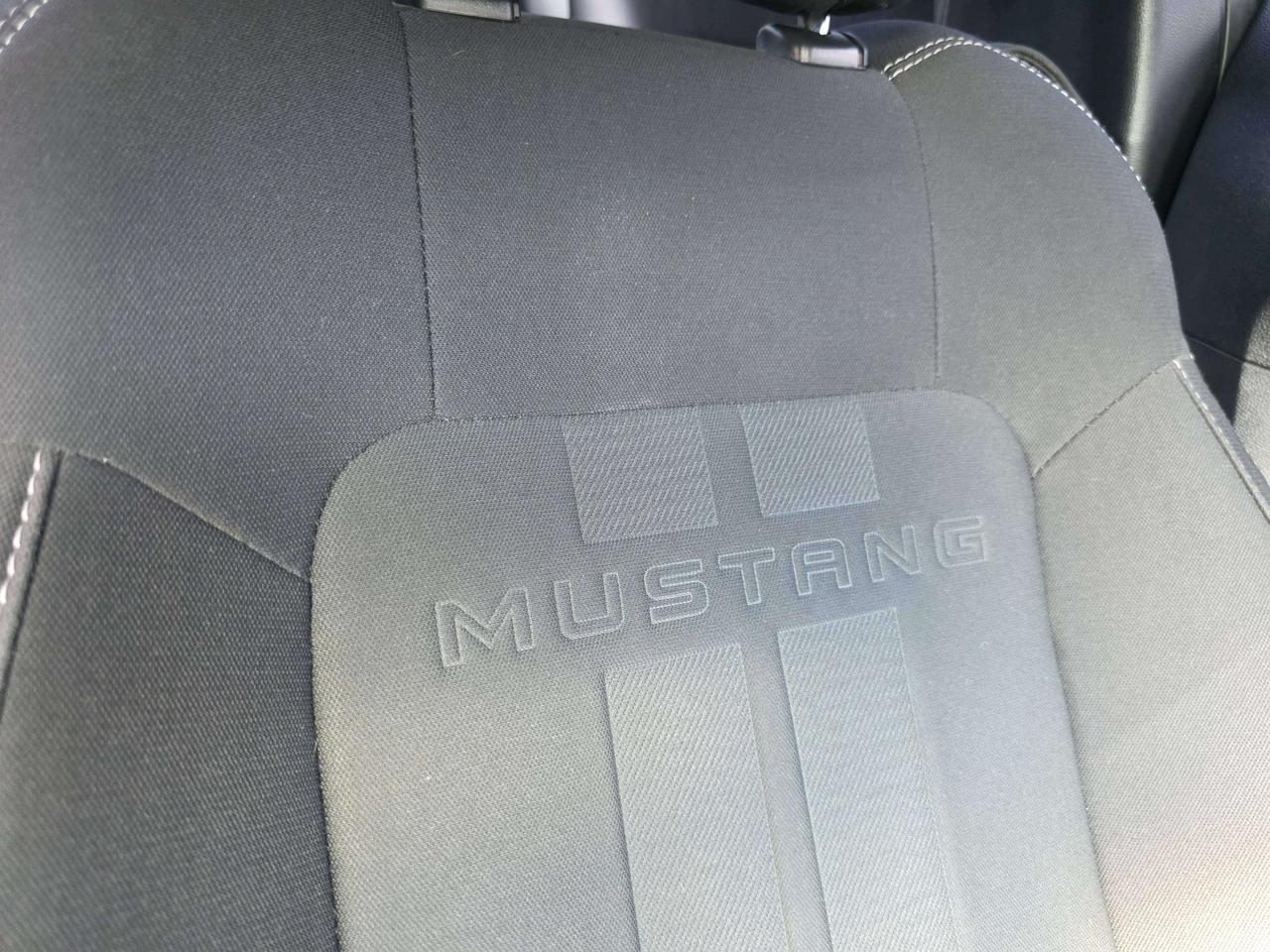 2019 Ford Mustang Performance Package / Manual / No Accidents Photo