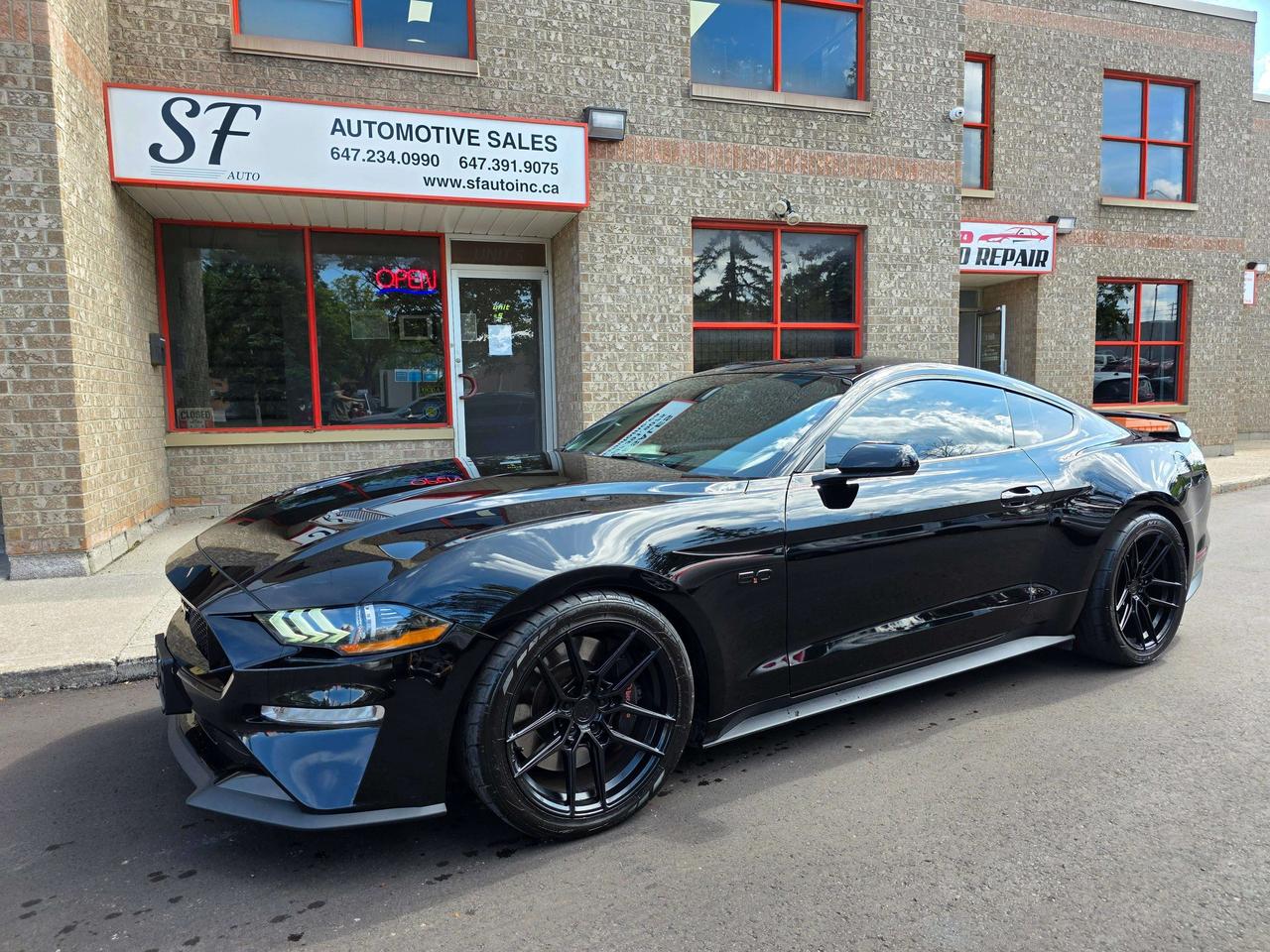 2019 Ford Mustang Performance Package / Manual / No Accidents Photo
