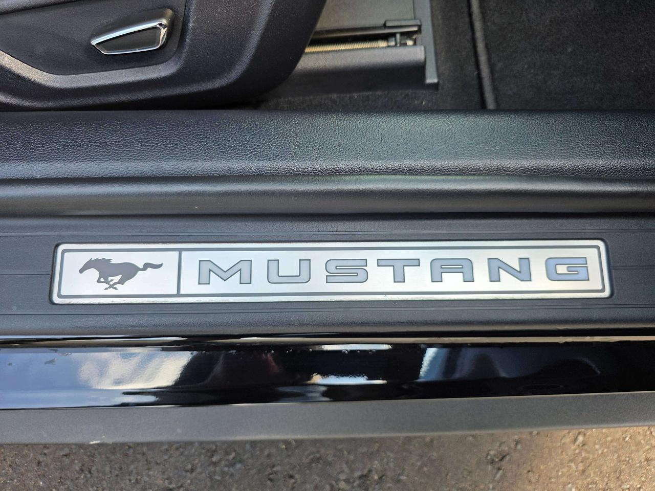 2019 Ford Mustang Performance Package / Manual / No Accidents Photo