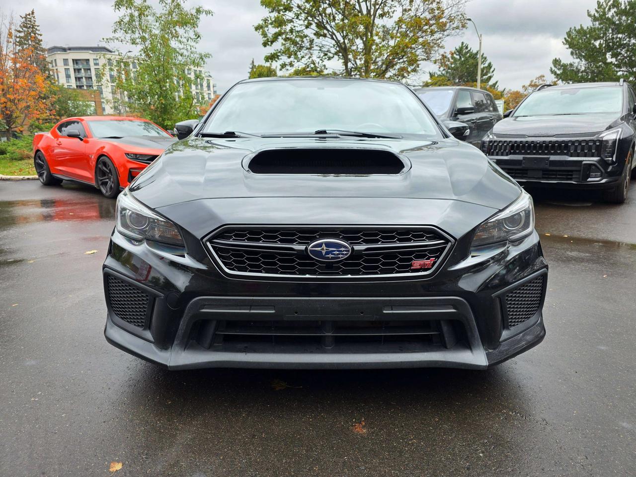 2019 Subaru WRX No Accidents / Financing Photo