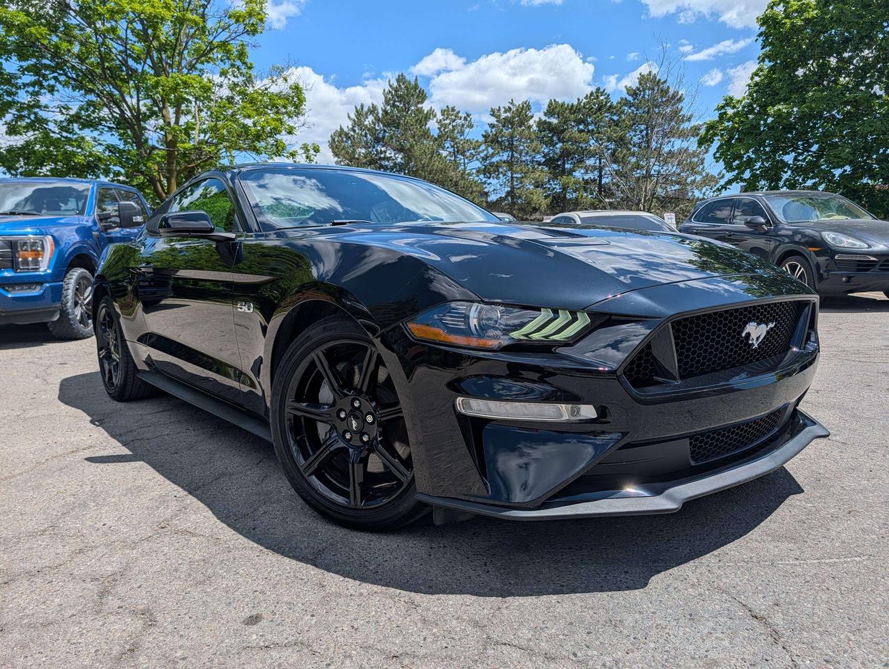 2018 Ford Mustang GT V8/ ONE OWNER/ NO ACCIDENTS/ FINANCING Photo0