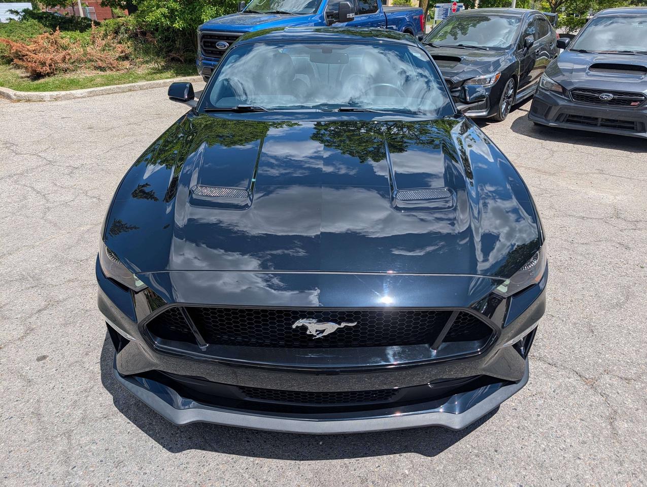 2018 Ford Mustang GT V8/ ONE OWNER/ NO ACCIDENTS/ FINANCING Photo