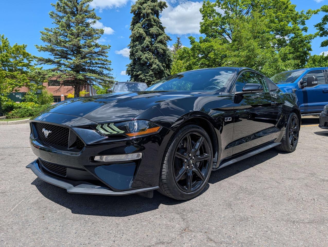 2018 Ford Mustang GT V8/ ONE OWNER/ NO ACCIDENTS/ FINANCING Photo
