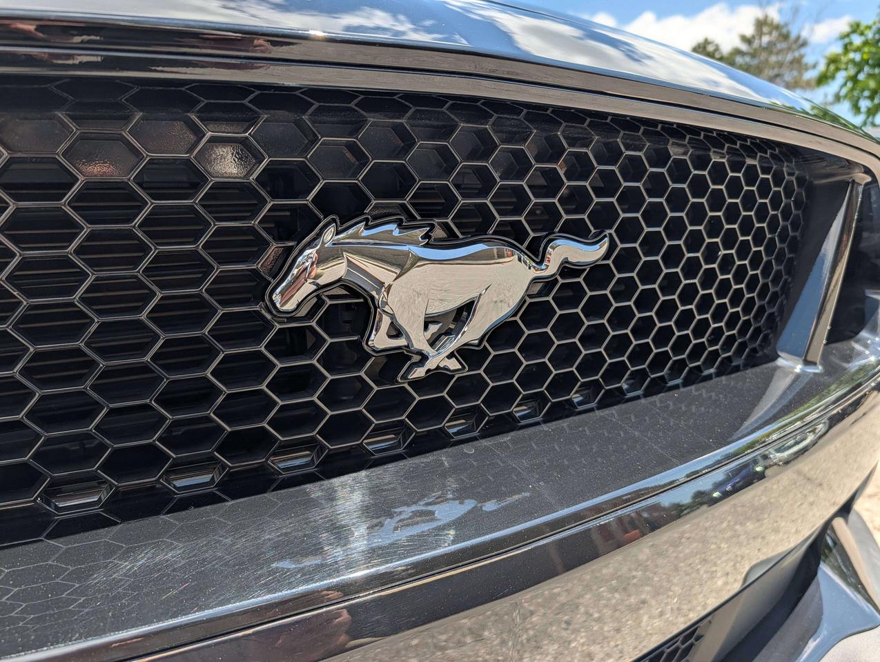 2018 Ford Mustang GT V8/ ONE OWNER/ NO ACCIDENTS/ FINANCING Photo
