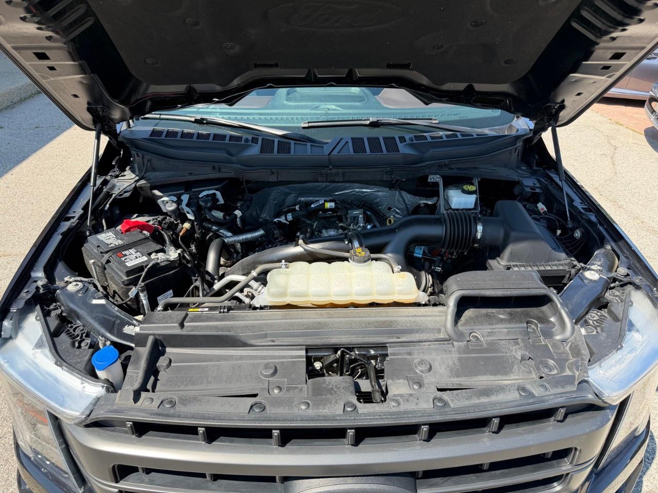 2023 Ford F-150  Photo