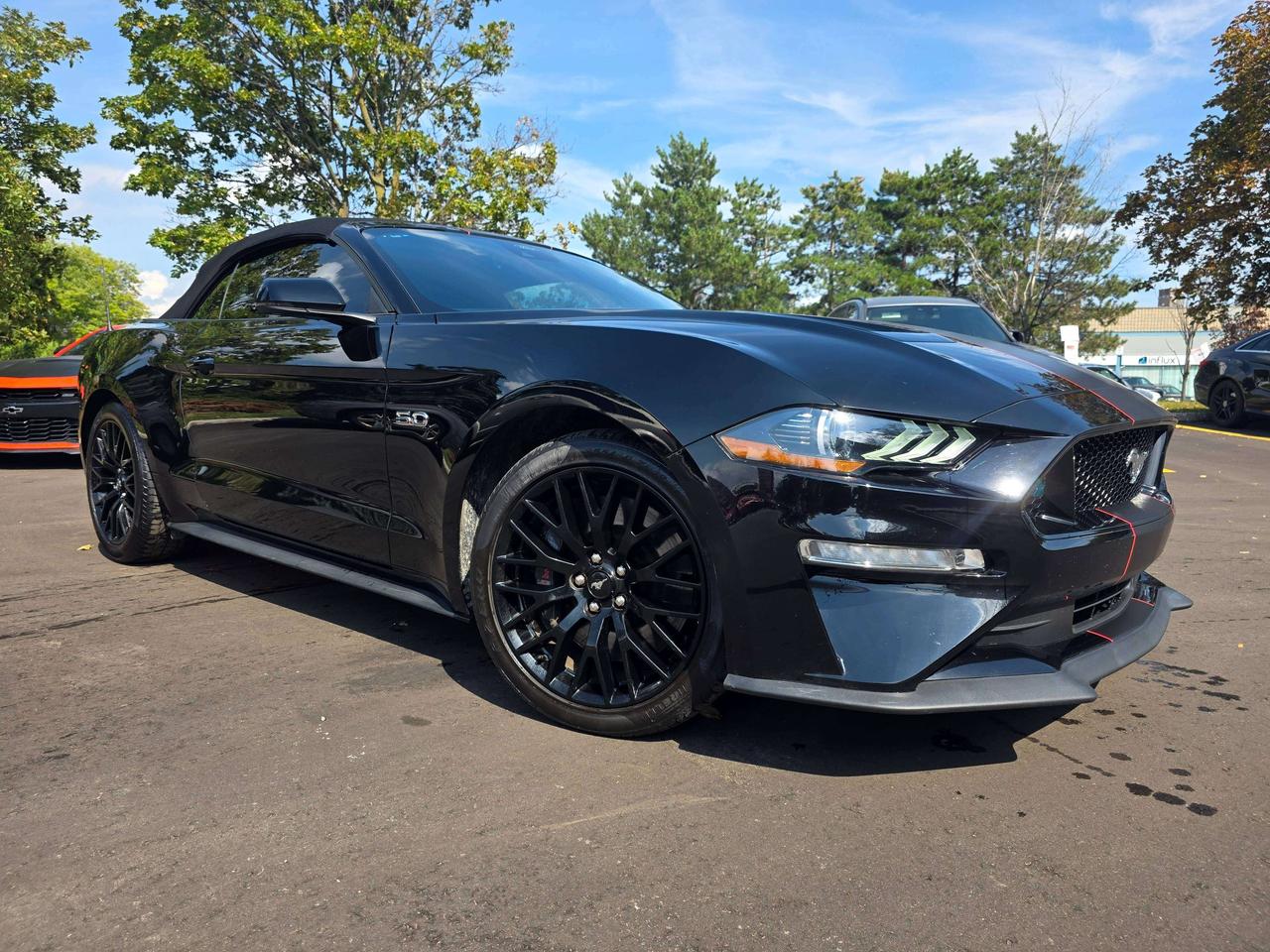 2021 Ford Mustang GT Convertible / Manual / Performance Package Photo0