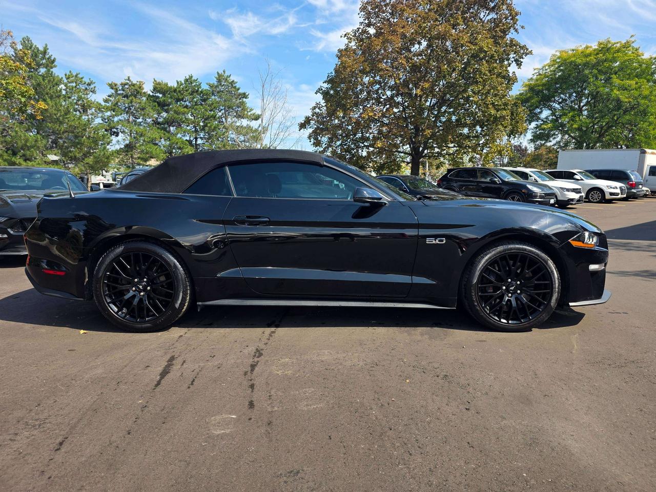 2021 Ford Mustang GT Convertible / Manual / Performance Package Photo