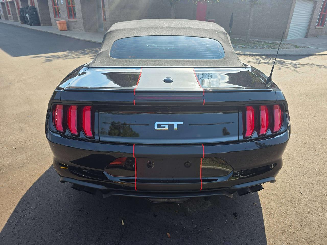 2021 Ford Mustang GT Convertible / Manual / Performance Package Photo