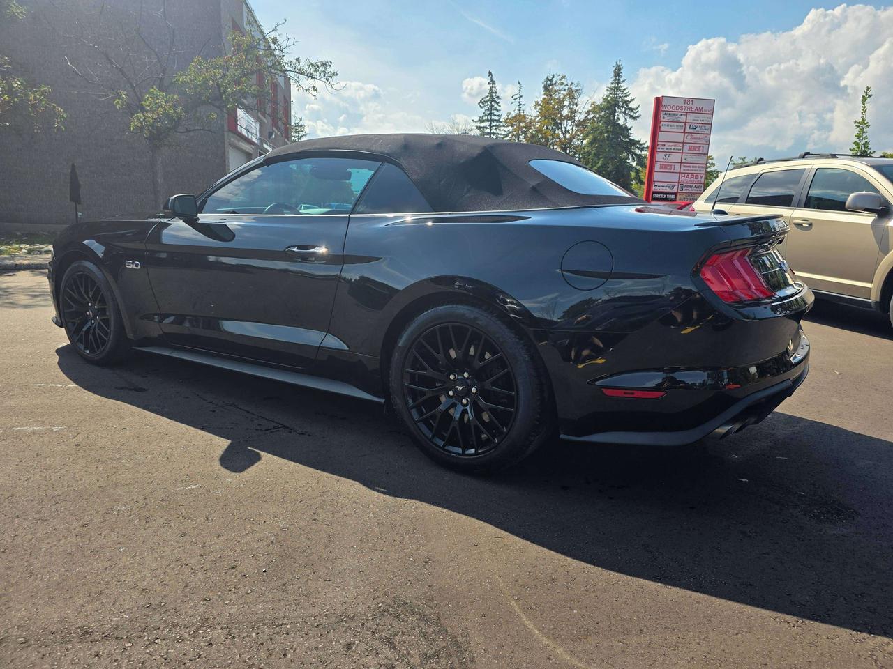 2021 Ford Mustang GT Convertible / Manual / Performance Package Photo