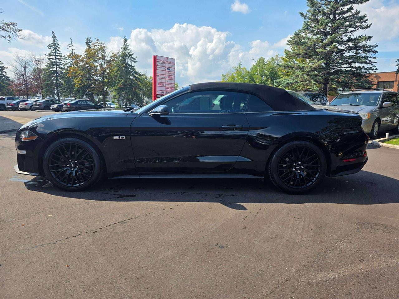 2021 Ford Mustang GT Convertible / Manual / Performance Package Photo