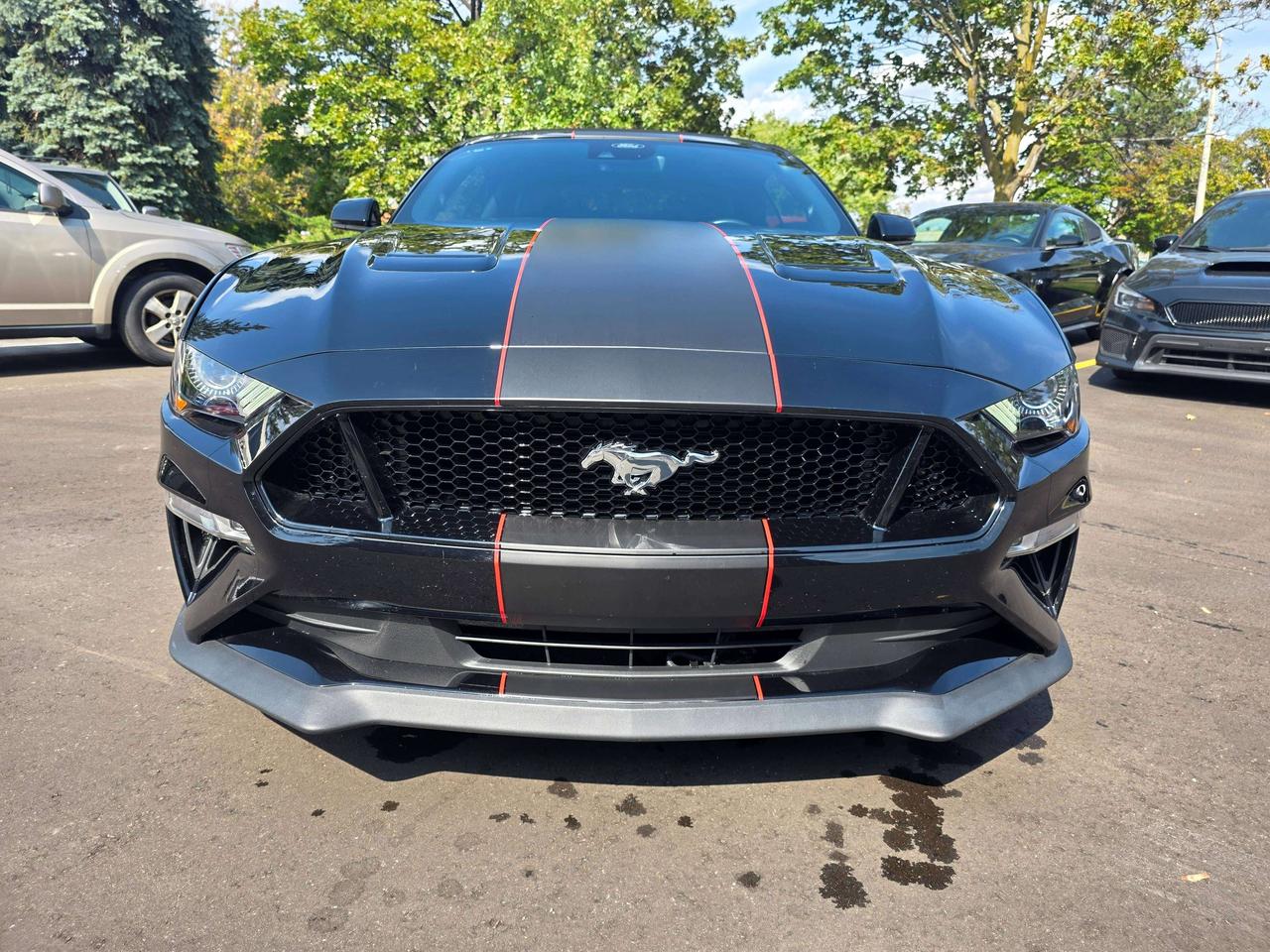 2021 Ford Mustang GT Convertible / Manual / Performance Package Photo