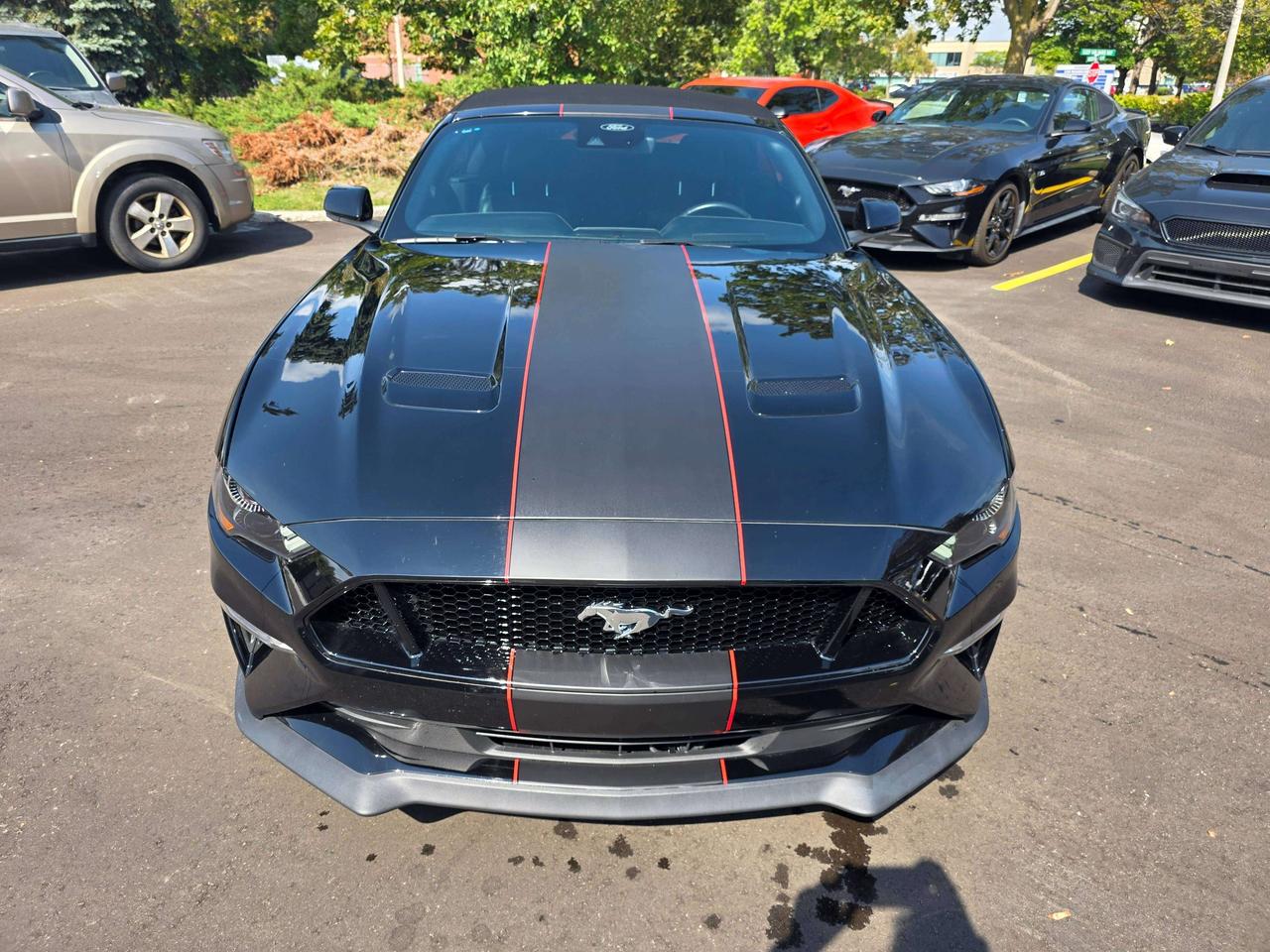 2021 Ford Mustang GT Convertible / Manual / Performance Package Photo