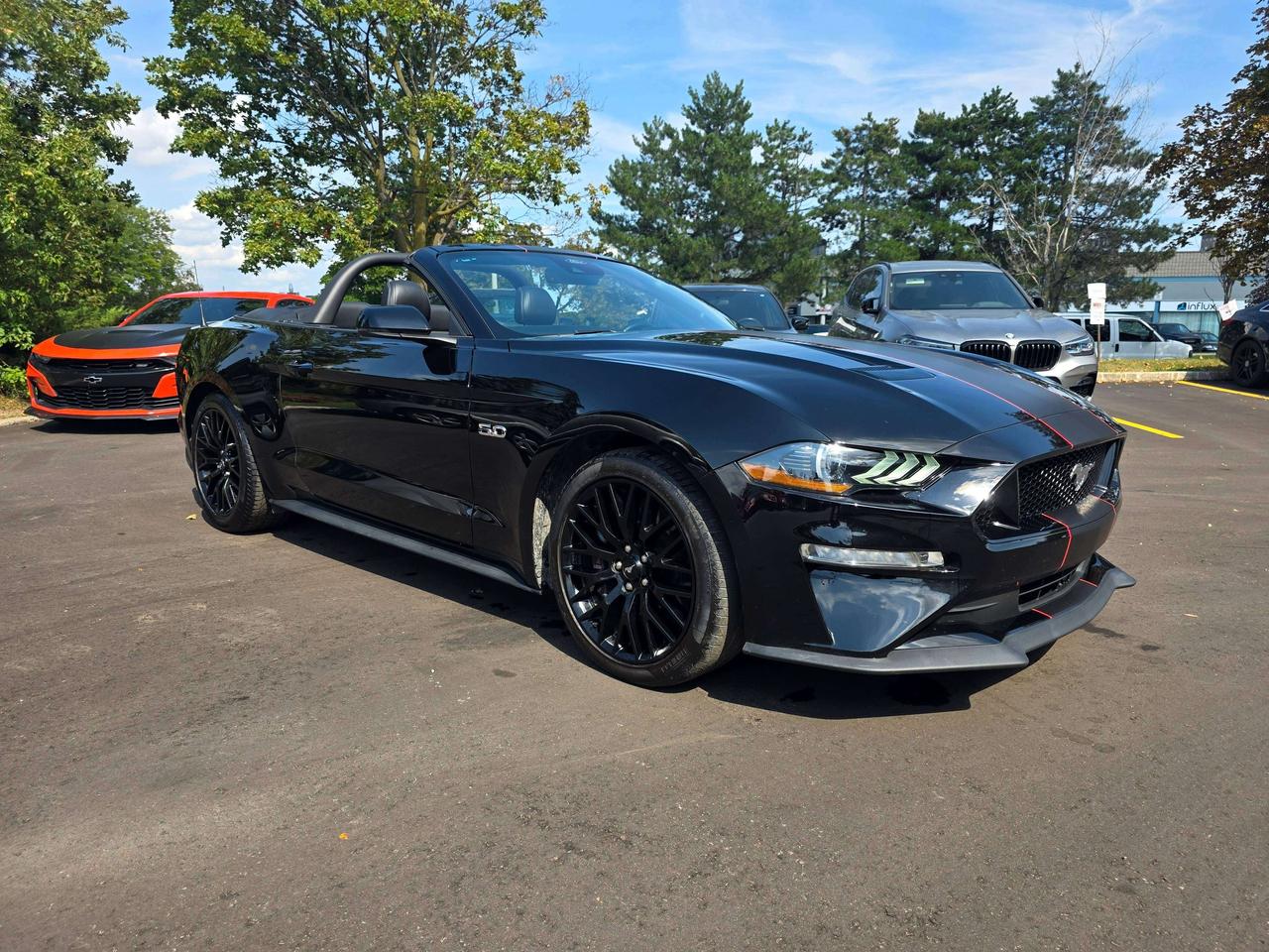 2021 Ford Mustang GT Convertible / Manual / Performance Package Photo