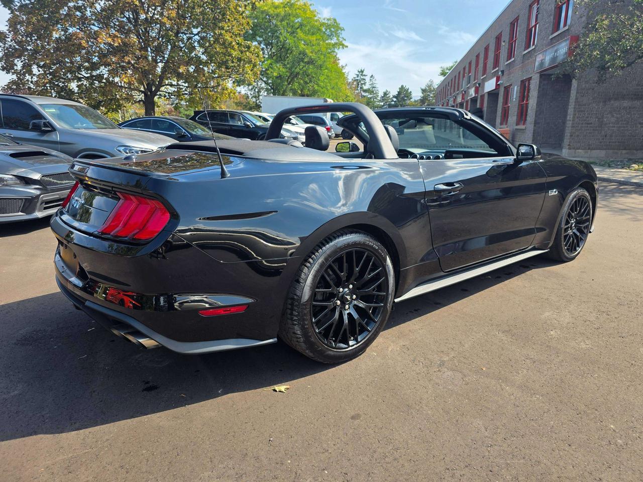 2021 Ford Mustang GT Convertible / Manual / Performance Package Photo